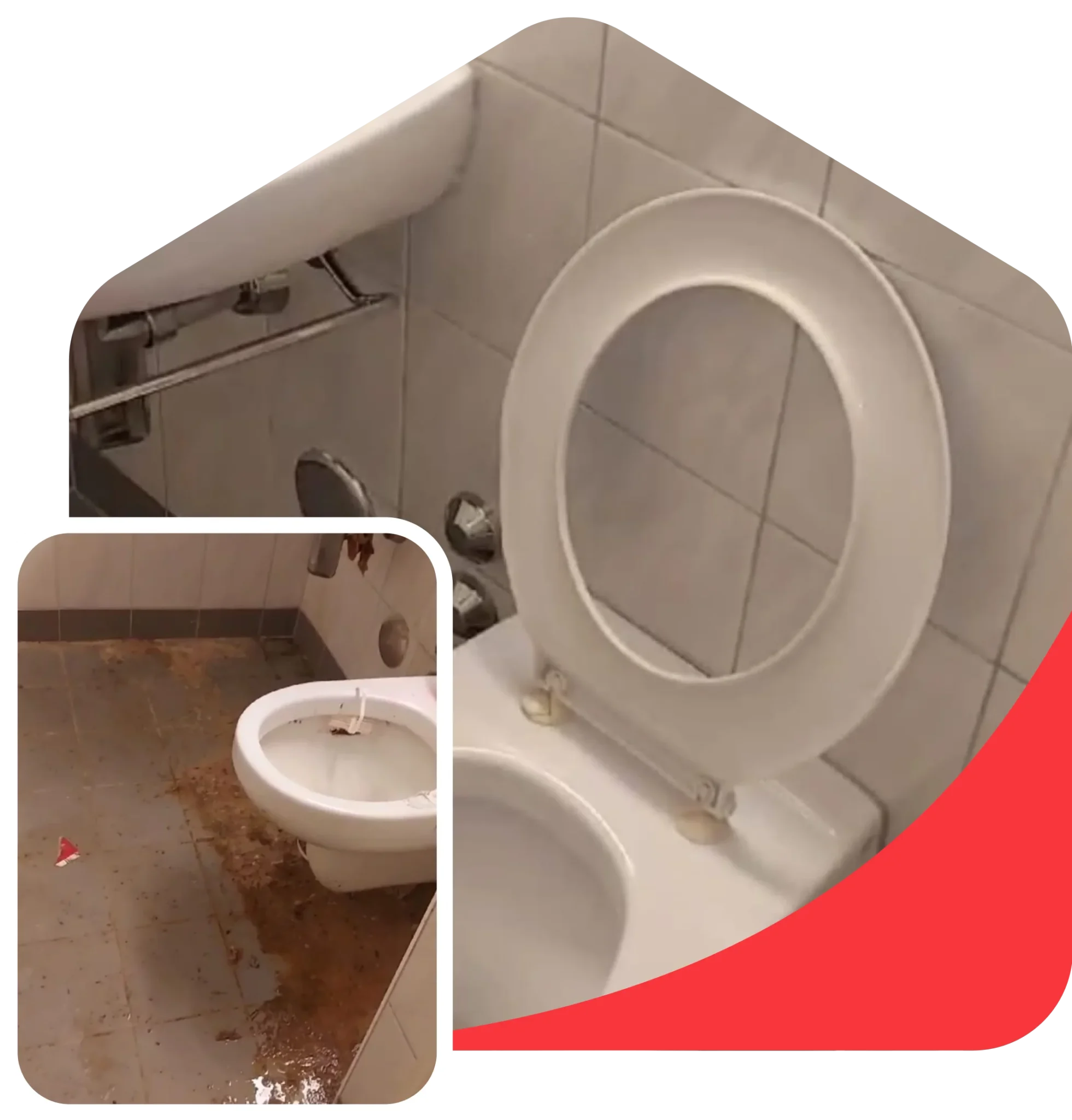 Reinigungsservice mit Qualität