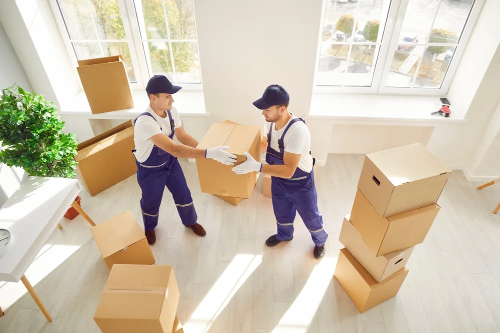 Umzugskartons effizient richtig packen